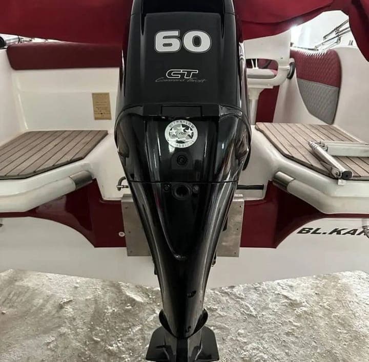 2021 Model 60 Hp Mercury