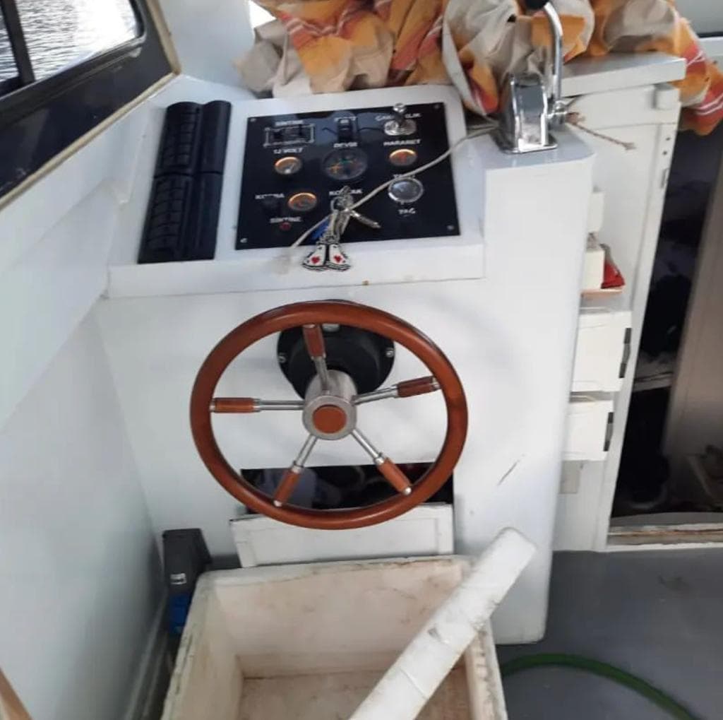 2019 Model Kurucaşile Kestane Ahşap ( Yeşil Ruhsatlı)