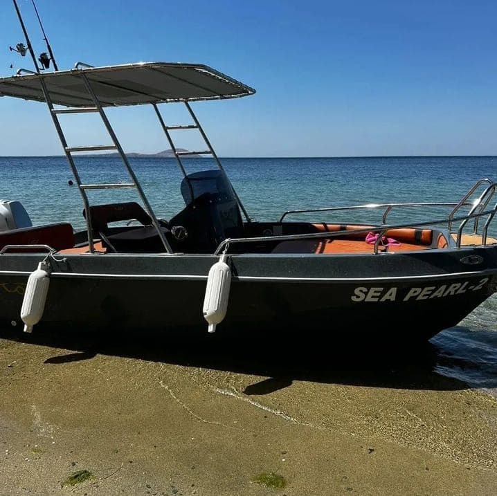 2023 Model Wowin Yacht 4.85