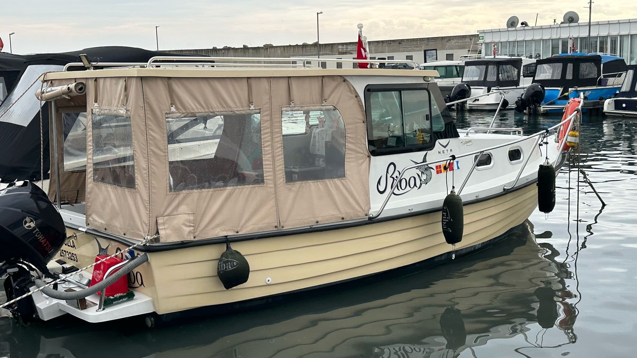 2020 Model Neta Fisher 6.60