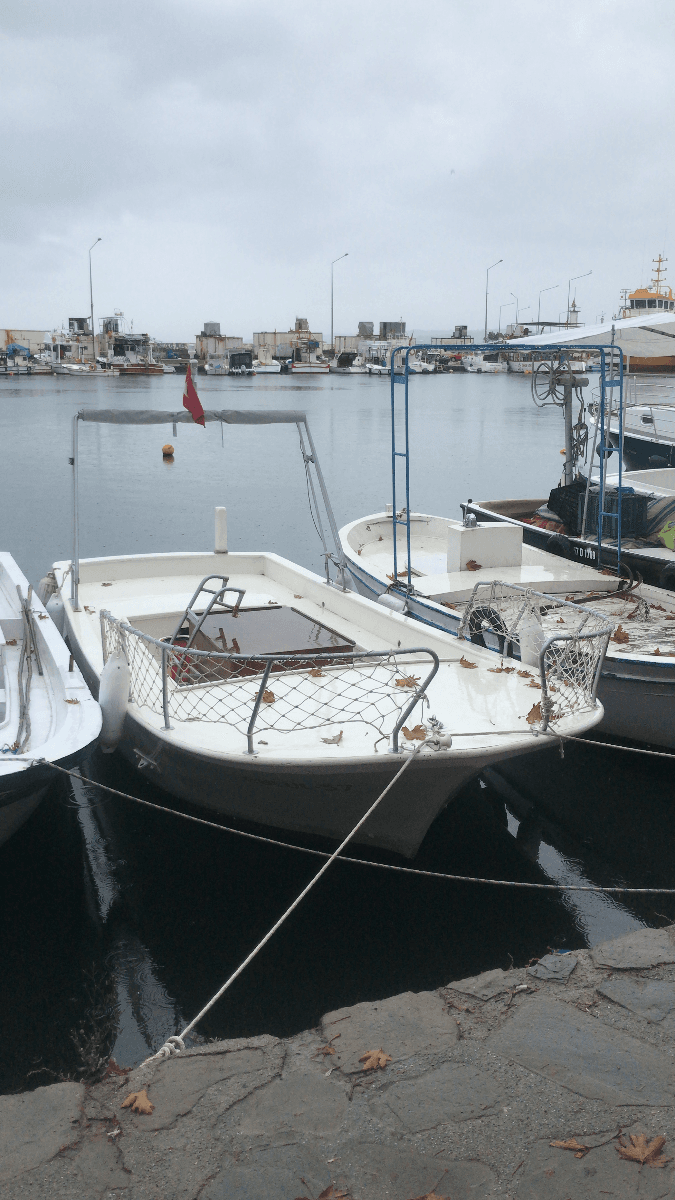 Ahşap full donanımlı tekne-balık bulucu-tente