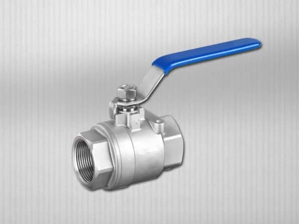 1/2" SS316 DİŞLİ İKİ PARÇALI KÜRESEL VANA
