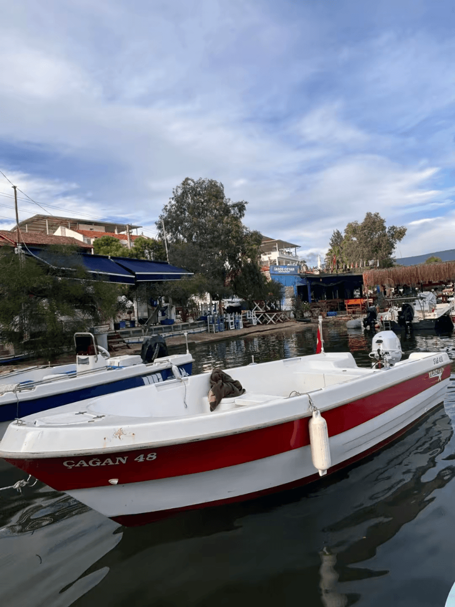 Sıfırdan farksız 20 hp tohatsu 4.50 Yıldız marin
